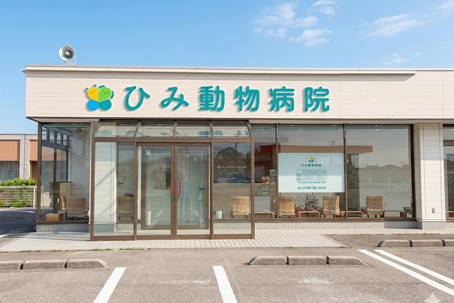 ひみ動物病院